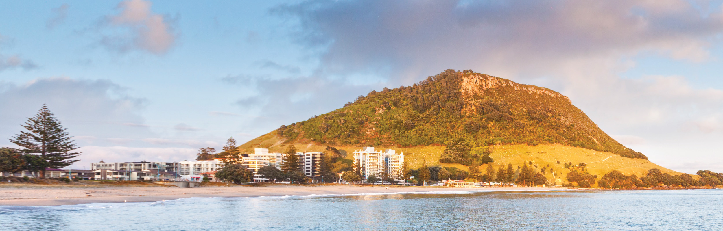 Tauranga - Hero Banner