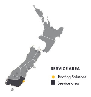 Freeman Service Area Maps_Dunedin