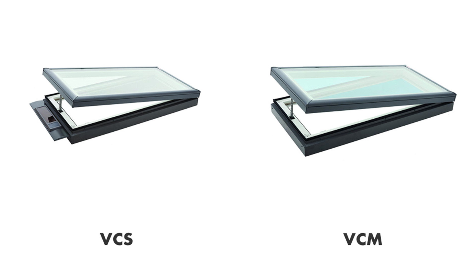 1. VCS & VCM VCS and VCM